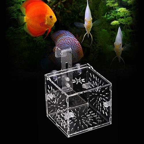 Kutija za uzgoj ribe, Akrilna prozirna kutija za izolaciju uzgoja ribe u akvariju, držač inkubatora za mrijestilište