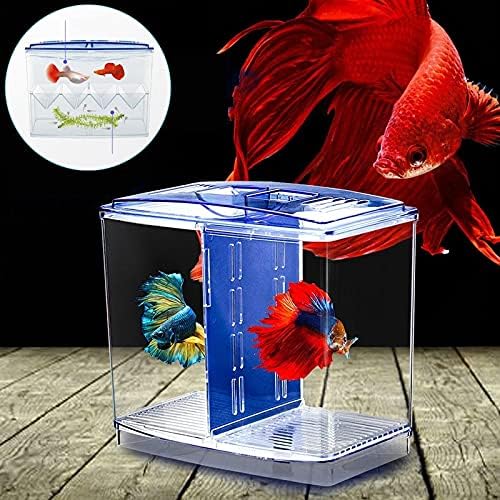 Vanjski spremnik izbor Akrilna izolacijska kutija za uzgoj ribe akvarijski uzgajivač akvarijski inkubator za valjenje ribe