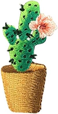 Kaktus biljka - ružičasti cvjetovi - smeđi lonac - biljke u saksiji - pustinja - vezeno željezo na flasteru