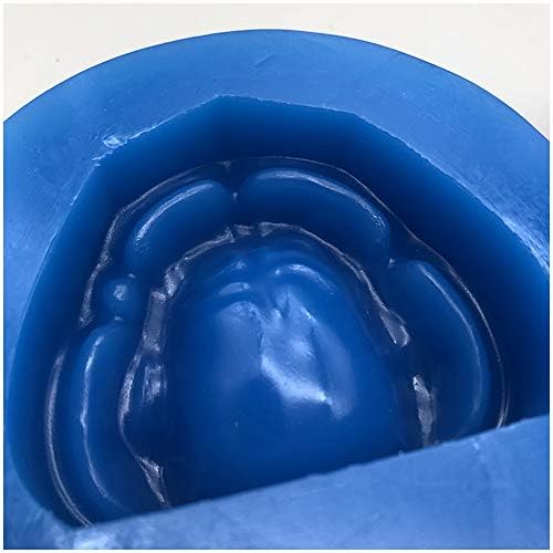 KH66ZKY stomatološka šupljina bez zuba matrica pregradnja bez zubnih žbuka plavi meki silikonski kalup za podučavanje i proučavanje