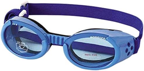 Doggles ils veliki sjajni plavi okvir s naočalama s plavim lećama