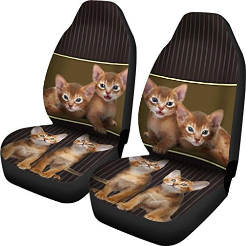 Abesinijske prekrivačke sjedala za mačke