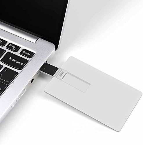 Snow Fox USB pogon kreditne kartice UsB flash pogon u disku palca 32g
