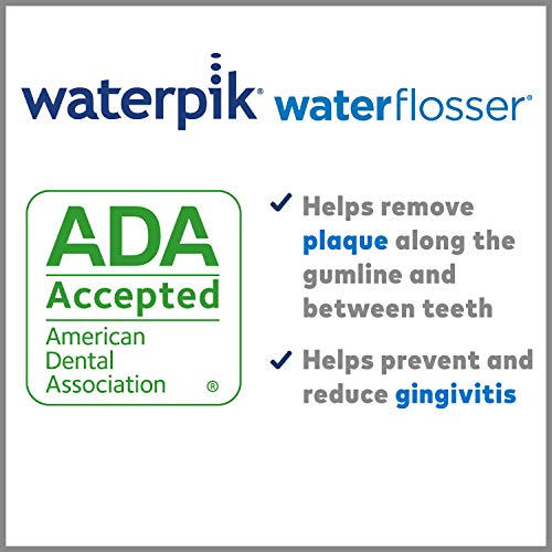 Waterpik Prikladni higijenski čvrsti slučaj za skladištenje za zamjenske vrhove, 6 brojanja i vode Flosser Electric Dental