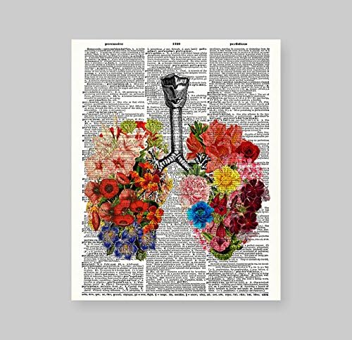 8x10 Nepreradno cvjetna pluća ljudska anatomija upciklirana vintage rječnika umjetnina tiska umjetnička tiska za dom dekor