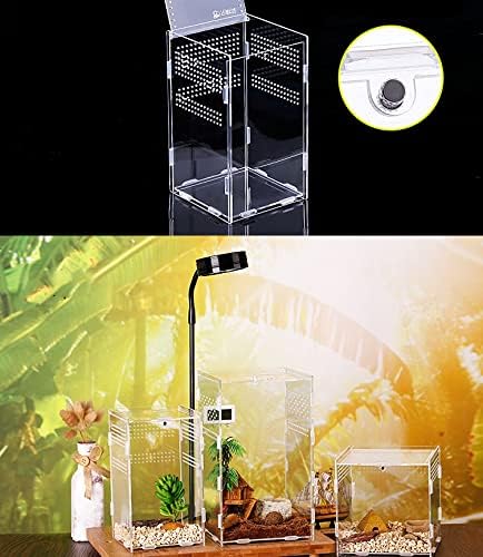 Akril sastavljen od oraha prozirni terarij za insekte Prozračna kutija za uzgoj gmazova pauk gušter Škorpion