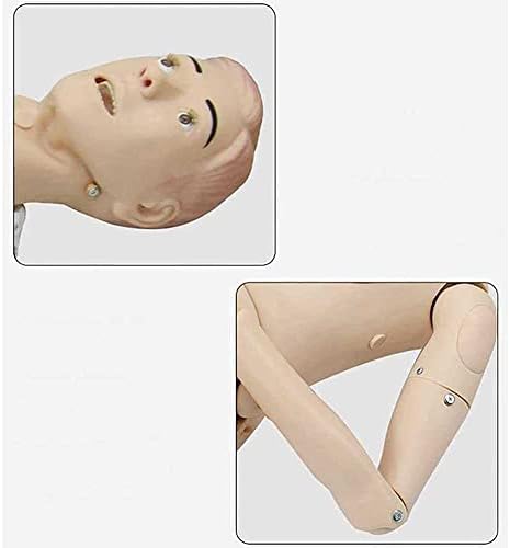 Foccar 5,7ft Veličina života skrb o pacijentima Manikin Muškarci i žene Izmjenjivi trening CPR simulator za medicinsku sestrinsku